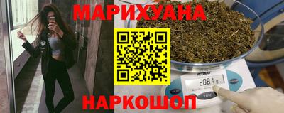 индика Моздок