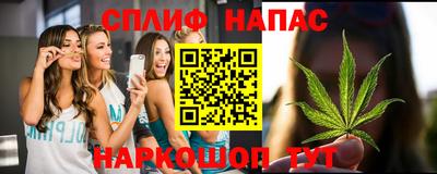 МДПВ Можга
