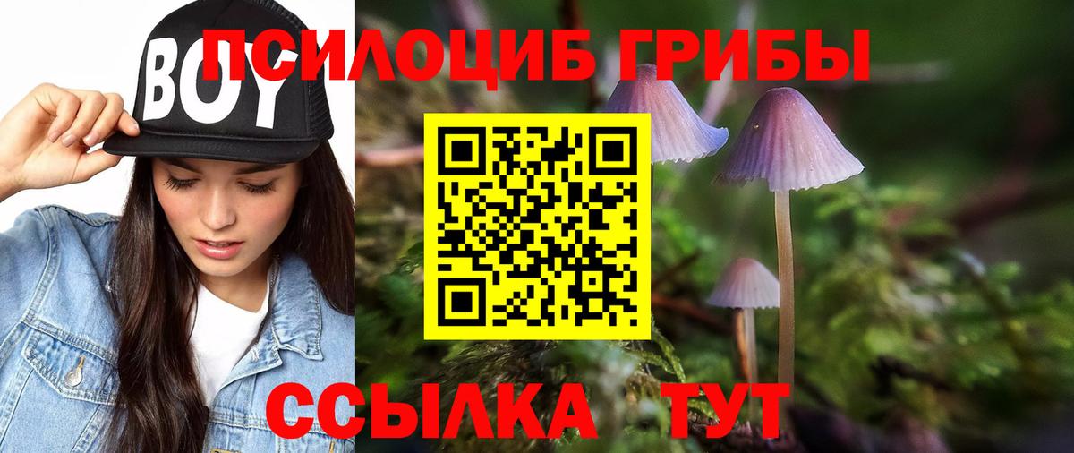 Галлюциногенные грибы мицелий Тара